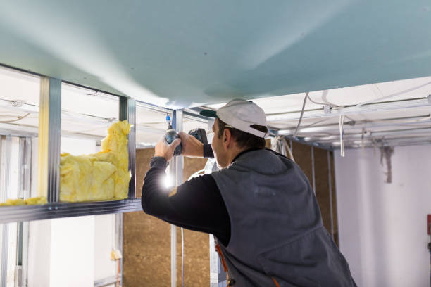 Best Eco-Friendly Insulation in Westlake, TX