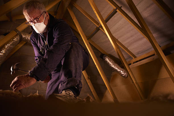 Best Cellulose Insulation in Westlake, TX